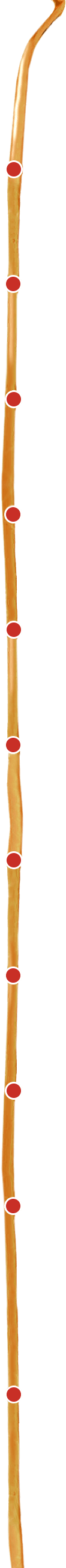 a stream of syrup for desktop
